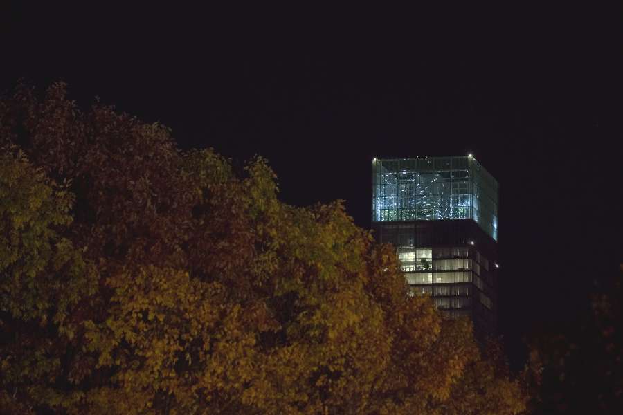 Photo: Alessandro Muner