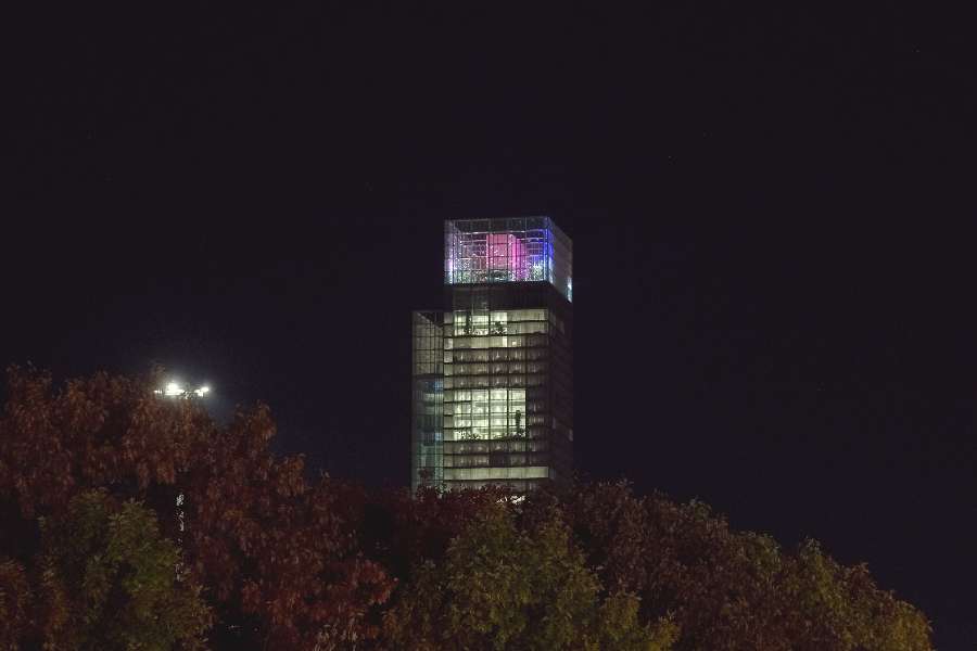 Photo: Alessandro Muner