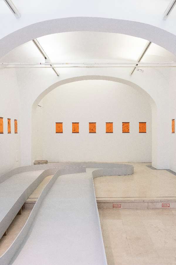 Photo: Alessandro Trapezio